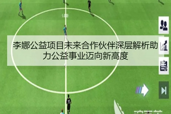 李娜公益项目未来合作伙伴深层解析助力公益事业迈向新高度
